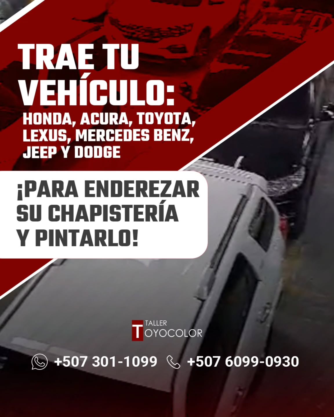 toyocolor_1774890849_3864386969639960164_7164088017